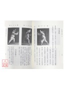 太极拳体用全书