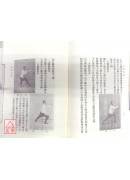 太极拳术