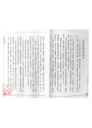 震撼波动学