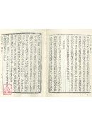 皇极经世心易发微(精)