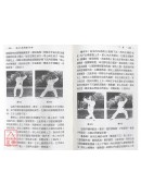 陈式太极拳体用全书