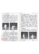 陈式太极拳体用全书