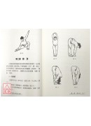 武术基本功与基本动作