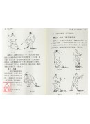 杨式太极拳〈85式〉