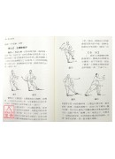杨式太极拳〈85式〉