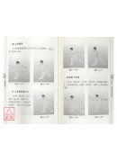 八极拳珍传
