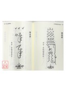 大师珍藏符咒秘笈