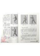 太极内功养生术