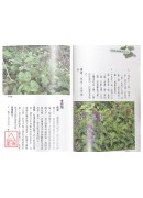 台湾青草药实用篇