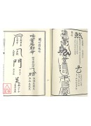 法窍阐微(020)(021)普唵祖师正宗法度《上、下卷》
