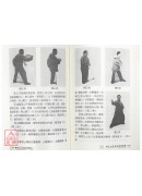 <珍贵本>陈式太极拳精选