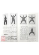 <珍贵本>陈式太极拳精选