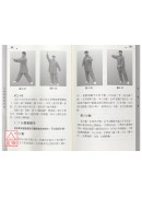 太极导气松沉功+VCD