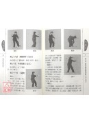 孙剑云孙式太极拳诠真