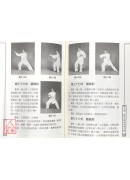 陈氏太极拳术