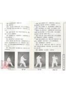 陈氏太极拳术