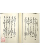 法窍阐微(024)普唵正宗安龙‧祭送‧隔界法度