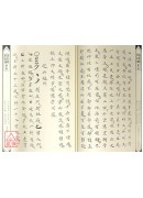 法窍阐微(112)茅山祖师翻坛锁邪法度