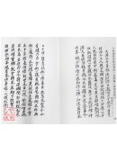 中国密帖全集《二、三》正法与邪术制解密帖(上下)