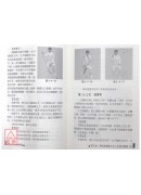 和式太极拳谱+VCD