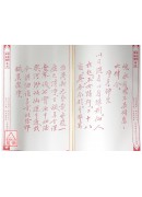 法窍阐微(126)请仙箕法《卷上》