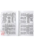 道教仪范全集(407)广成仪制 缩印本(六)