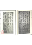 法窍阐微(018)(019)诸将混练玄科《上、下卷》