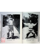 太极拳修习问答　附珍影集 —— 杨氏武匯川一脉传承