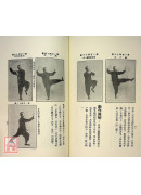 武当真传太极拳全书