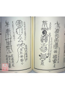 法窍阐微(022)普唵正宗符镇法度