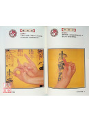 道法指印总解