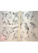 白描画谱5000例【中篇】禽鸟走兽〔简体书〕