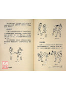 搏击术精选