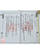 蒋大鸿三元奥秘手抄本
