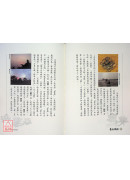 易经与花语第一卷