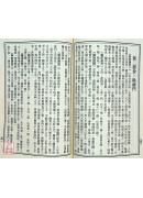 新编辨证奇闻(上下册)
