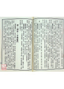 新编辨证奇闻(上下册)