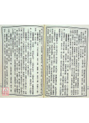 新编辨证奇闻(上下册)