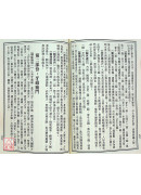 新编辨证奇闻(上下册)