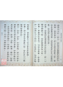佛说首楞严三昧经 C171