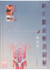 经穴断面解剖图解(腹盆部)