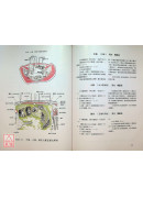 经穴断面解剖图解(腹盆部)