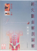 经穴断面解剖图解(腹盆部)