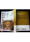 根本佛教解脱道论：木村泰贤新大乘运动思想观