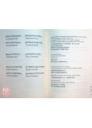 无畏狮子吼：大圆满之甚深教法