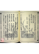 道教仪范全集(512)太上正乙法事科仪<高集十三卷>清醮早朝科、清醮晚朝科