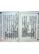 道教仪范全集(514)太上正乙法事科仪<庆集十五卷>清微摄招科、随堂施食科、清微铁罐施食科