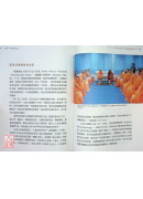 心定和尚访谈录：行佛—以师心为己心