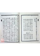 大乘百法明门论 八识规矩颂纂註(POD)